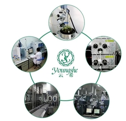 Chengdu YoungShe Chemical Co.,Ltd