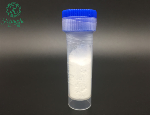 Recombinant Human Collagen III Collagen 3 White powder with factory price Type I Collagen