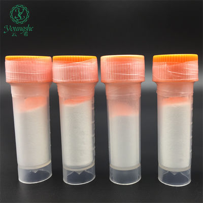 Caffeoyl hexapeptide-48 China Manufacturer Chengdu Youngshe