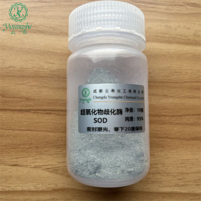 Superoxide dismutase 1 (SOD1) sh-polypeptide-60 rh-Cu, Zn-SOD pure powder