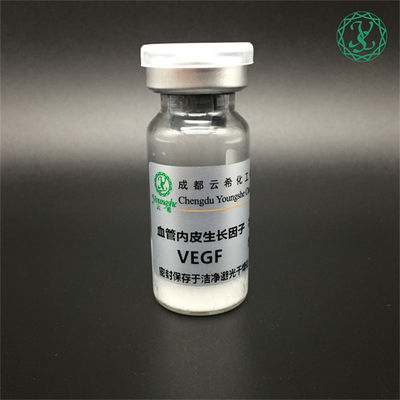 Recombinant Human Fibroblast Growth Factor-Acidic (rh-aFGF)